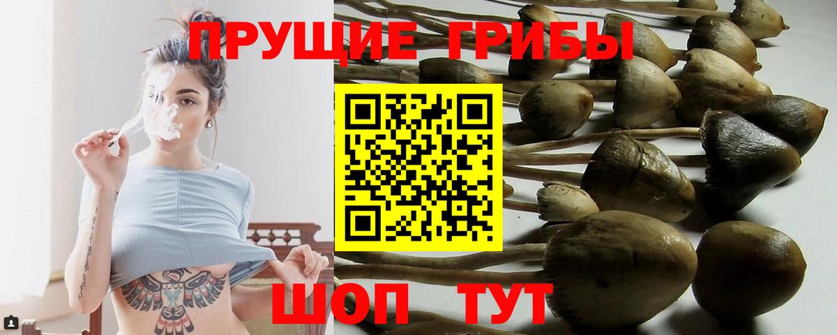 что такое наркотик  Галлюциногенные грибы мицелий  Вход с VPN  Тихвин 